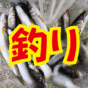 釣りまっせ！